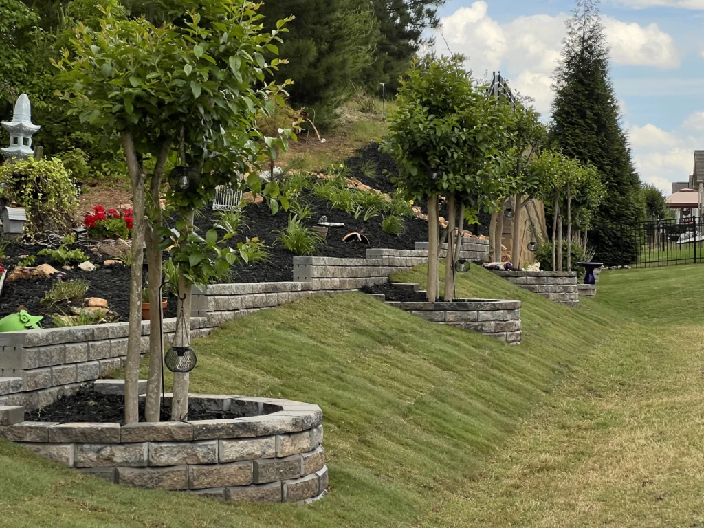 Retaining wall with tree rings and Bermuda sod — Clover SC — Hortus Lawn Care Charlotte NC